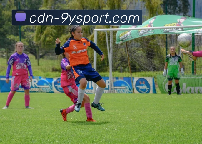 精彩体育电竞赛事平台生态图